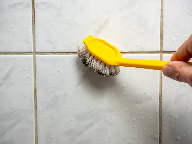 Best Bathroom Mold Remediation in Combine, TX