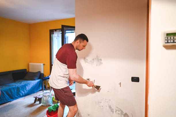  Combine, TX Mold Removal Pros